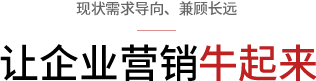 企業(yè)網(wǎng)站營銷